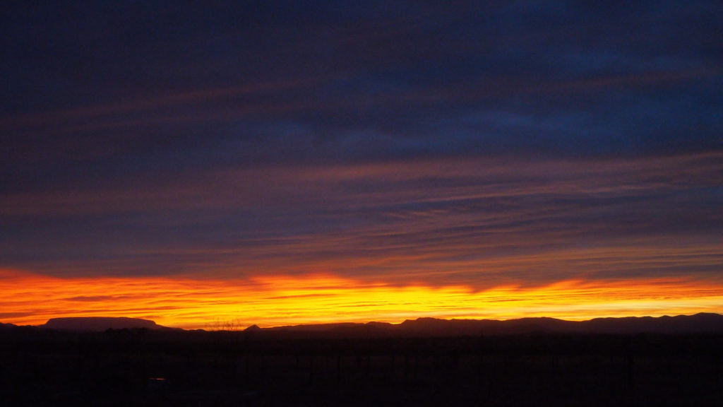 rise and scatter like carp, —Mary Ruefle