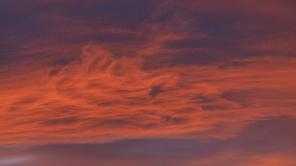 doubt unimaginable You? (now the ears of my ears awake and