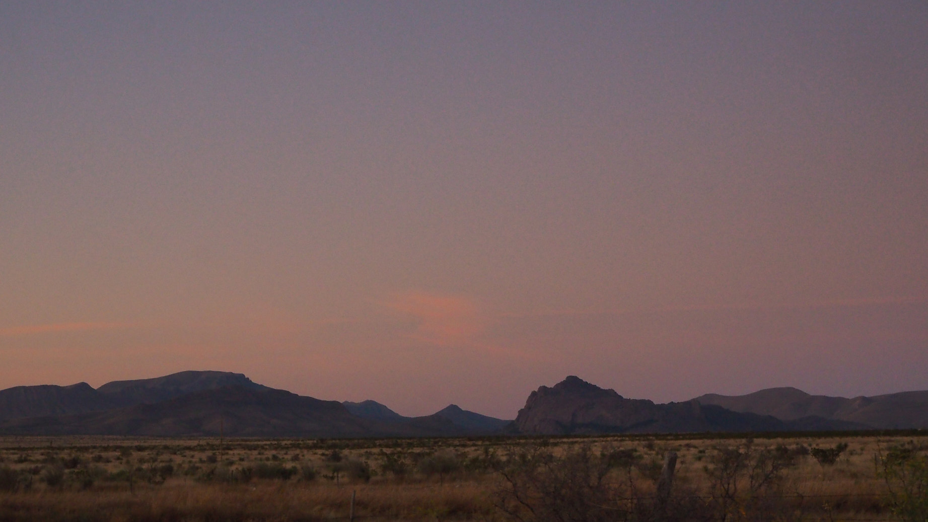 If anyone asks, say it was forgotten