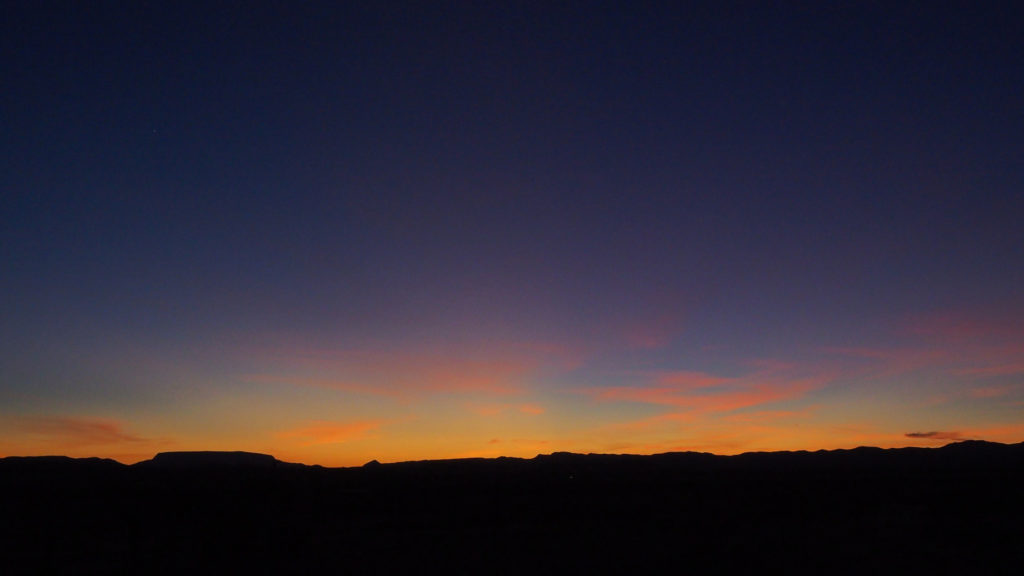 Blossoms rupture and rapture the air,