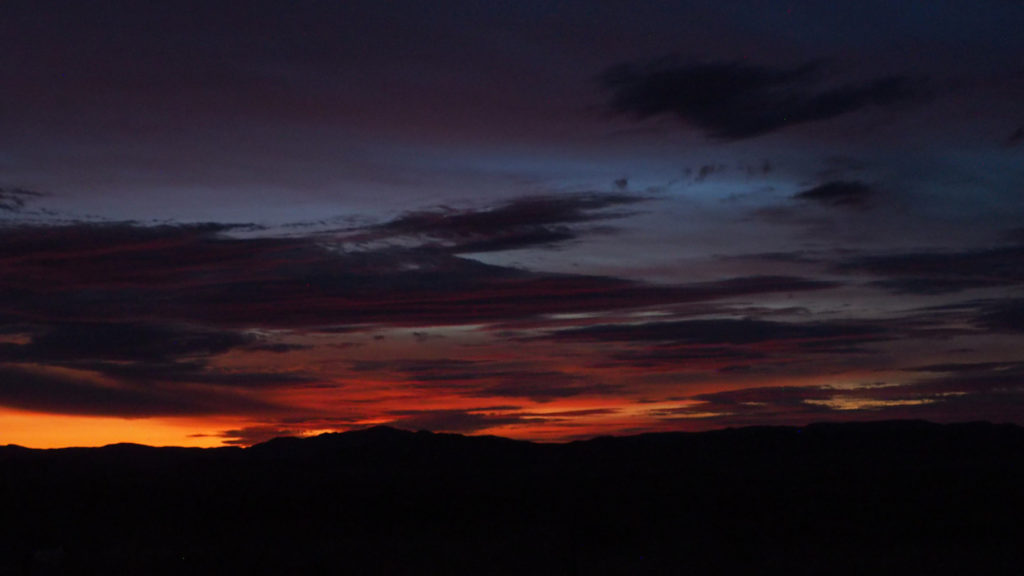 slowly you raise a shadowy black tree —Rainer Maria Rilke, translated by C. F. MacIntyre