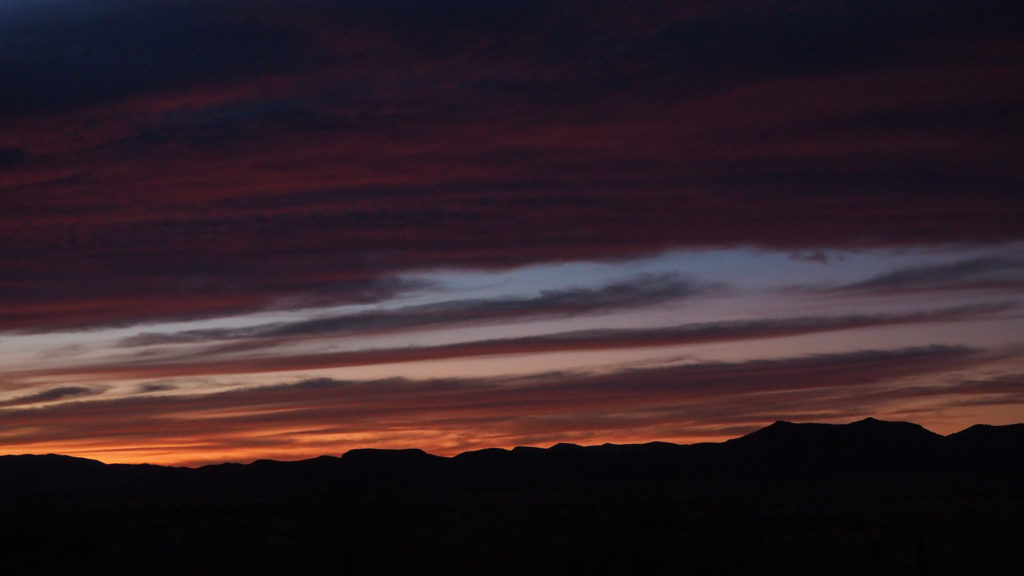 wedded to the swift hazard of their play, —Rainer Maria Rilke, translated by Edward Snow