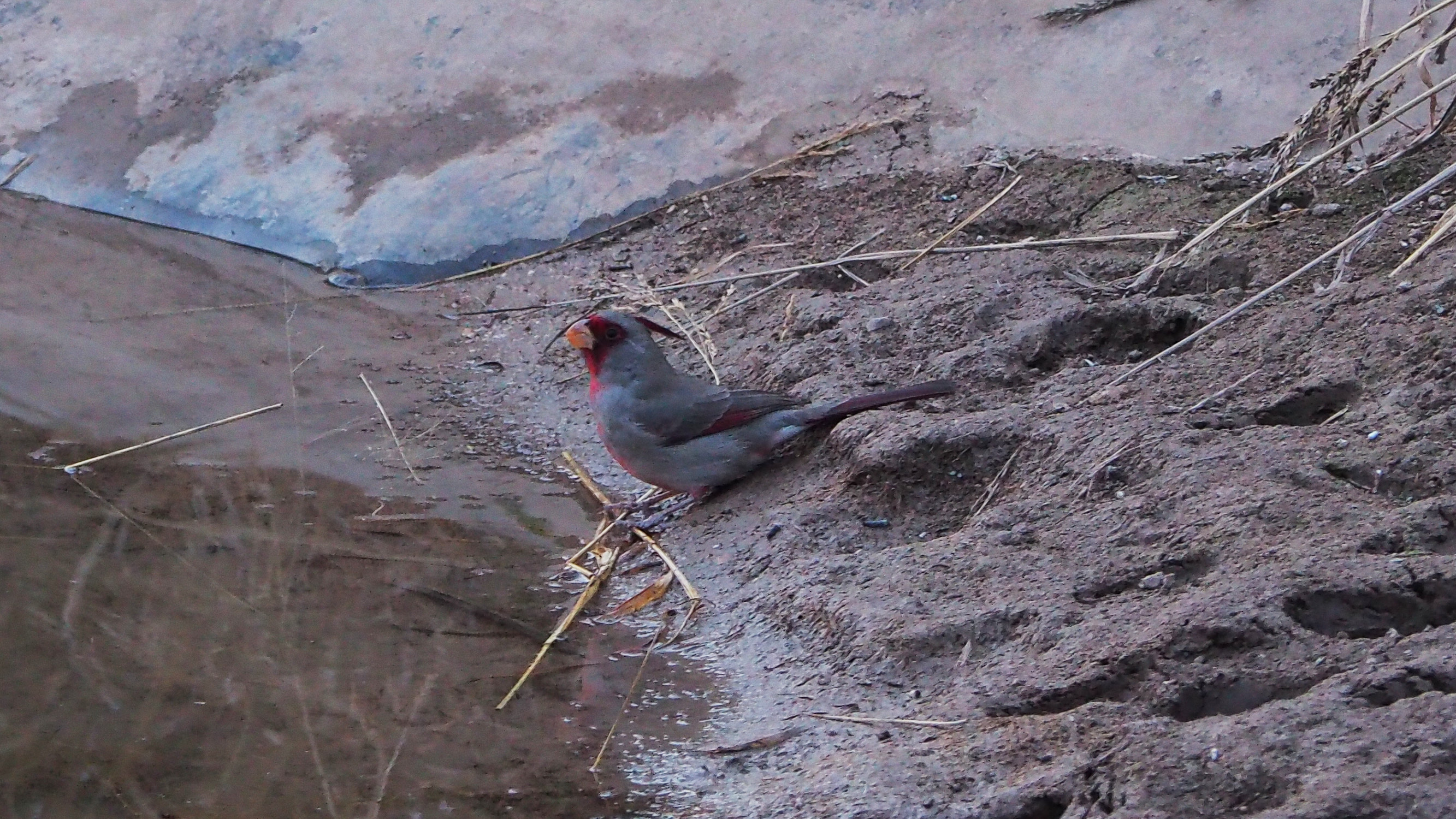 today is full of things,