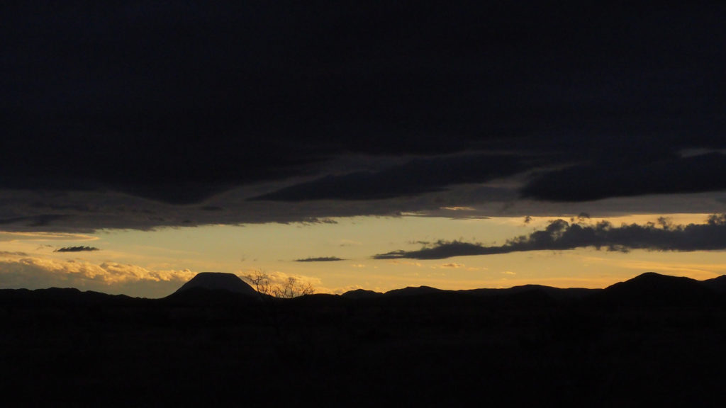 the grocery: never again are you 