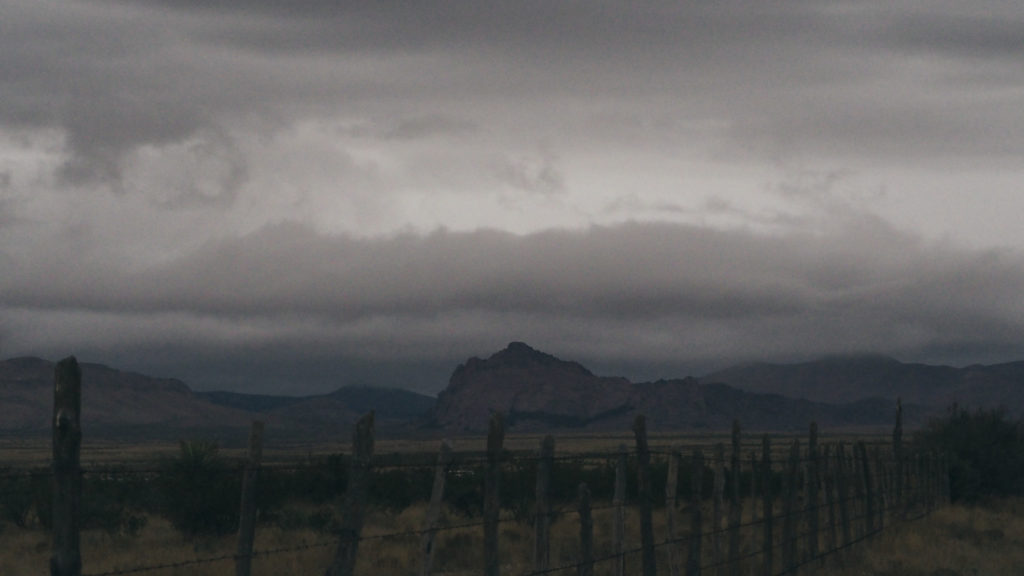 the same —James Tate