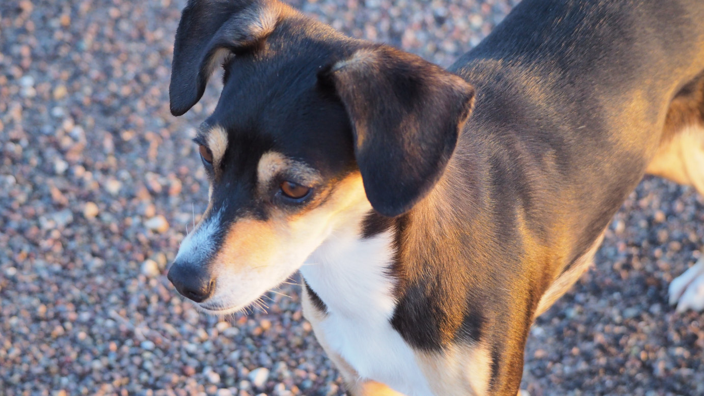 I mean to say the rough-hewn edges of time and space,