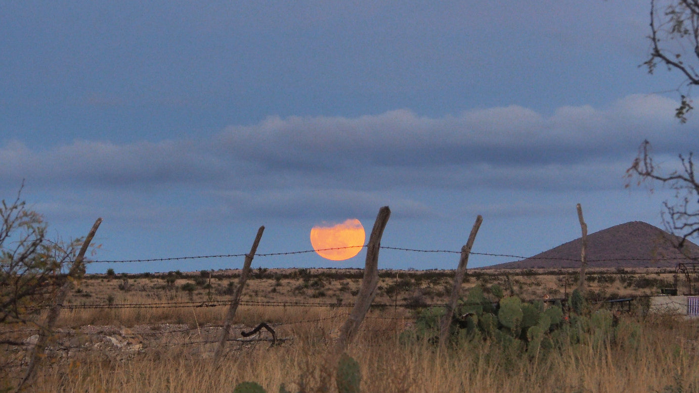 We’ve forgotten the luxury of dumbness,