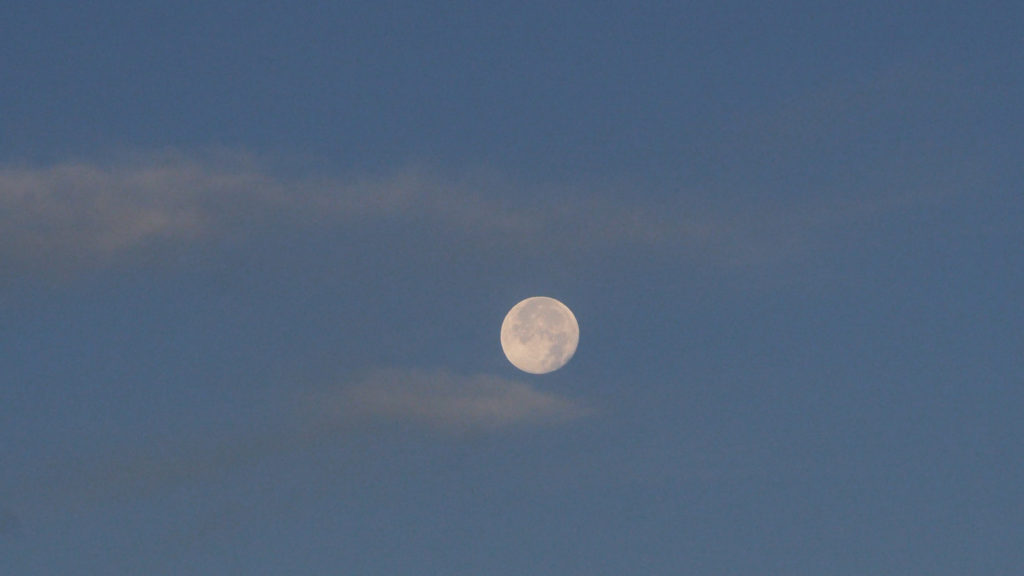 /Bright moon shining between pines./ —Charles Wright