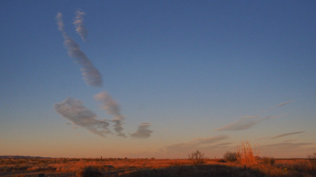 Of the roadrunner. I wish I were