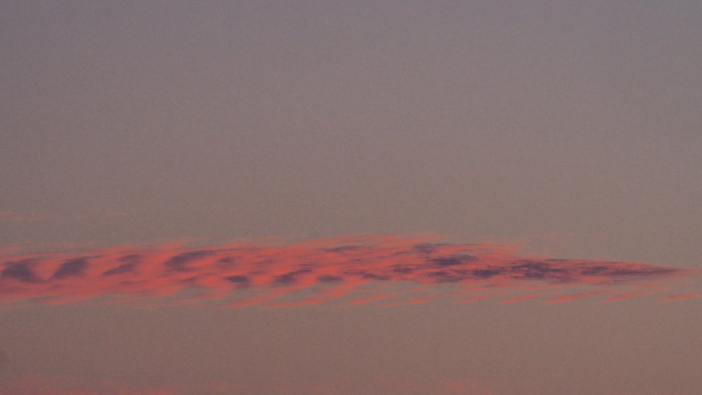 And the tear the tarantula weeps. —James Wright