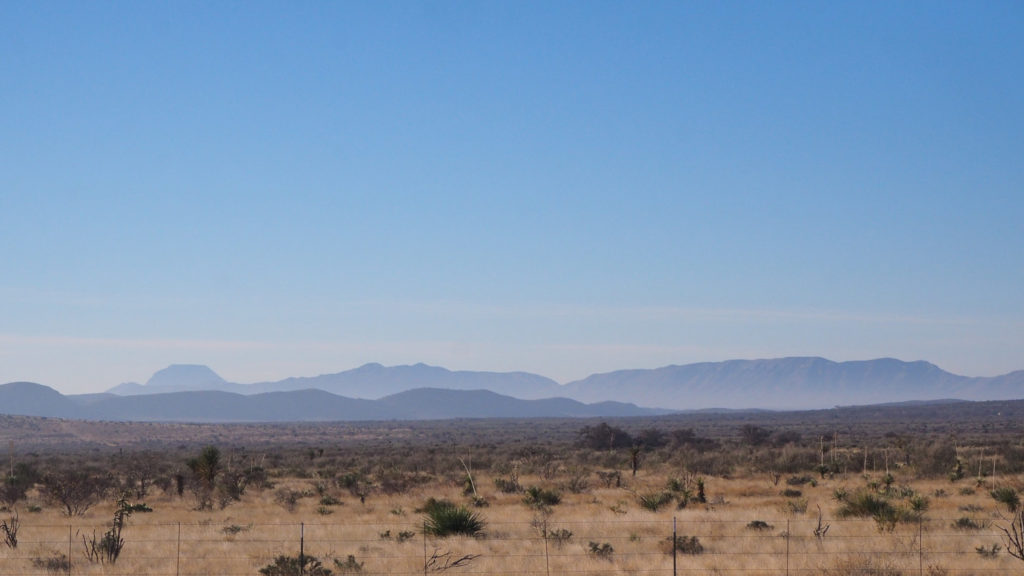 not to abandon the spirit of repetition  —Alice Oswald