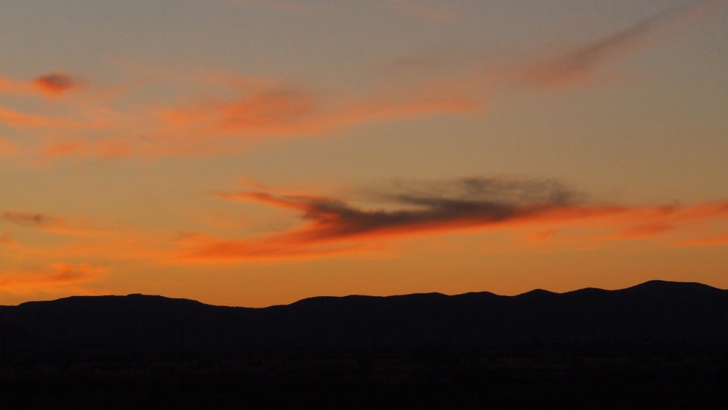 begins to long again for the clapper’s stroke. —Brigit Pegeen Kelly