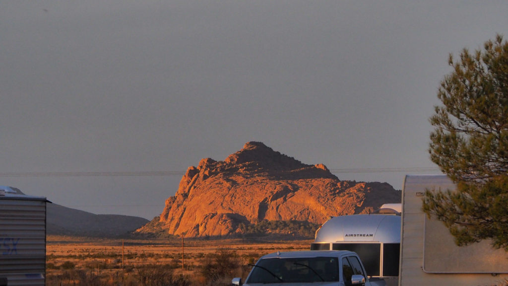 I ply with hope, for thee all pleasures please,