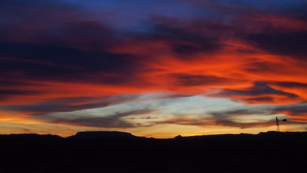 And from thy noble lips and heart of gold