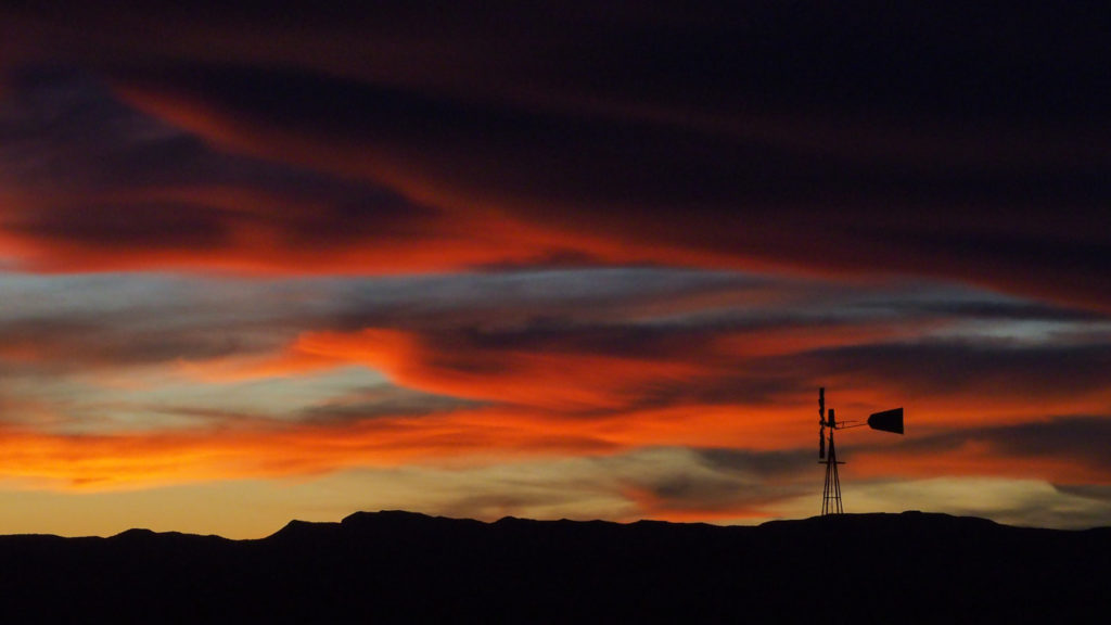 I drink the comfort of the faiths of old,