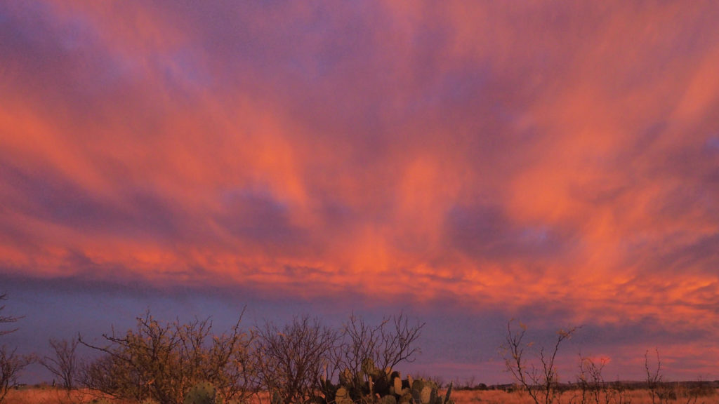 Orange swirling flame of days,