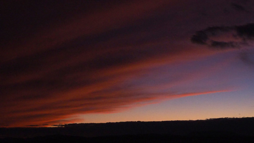 an absence shouts, celebrates, leaves a space. —Naomi Shihab Nye