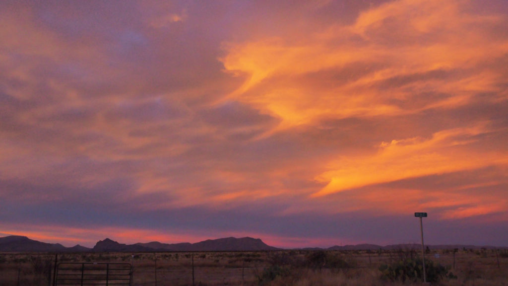 The galaxies you invented. The firmament is a nest you once