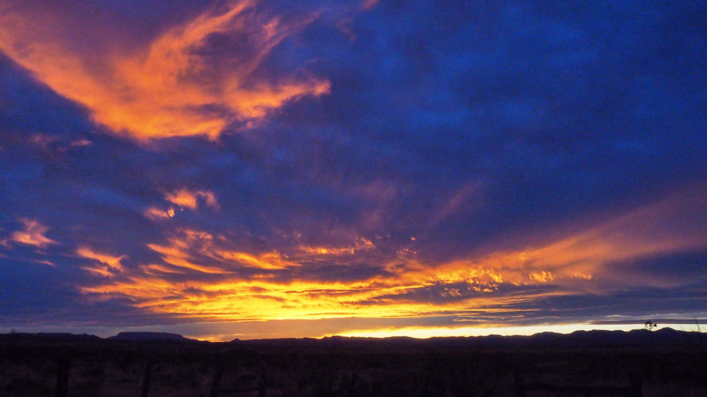 built. When existence hatched you brought us food of divinity. —Hafiz (quoting Muhyiddn Ibn ‘Arabi), translated by Daniel Ladinsky