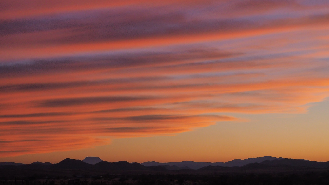 Tell me, dear beauty of the dusk,