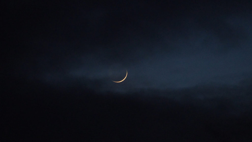 as if you were a puppet, —Katie Farris