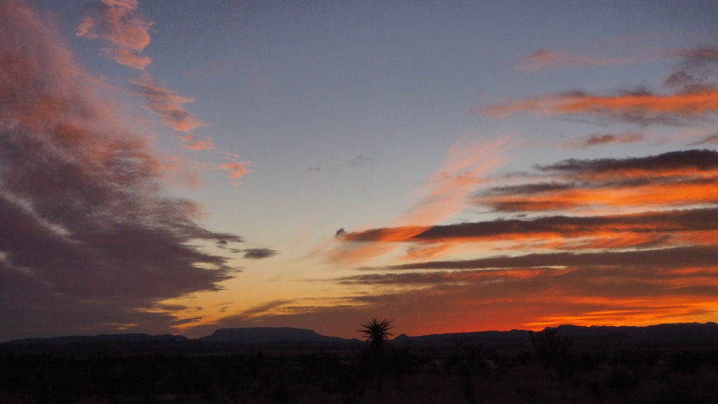 that i catch in my hair