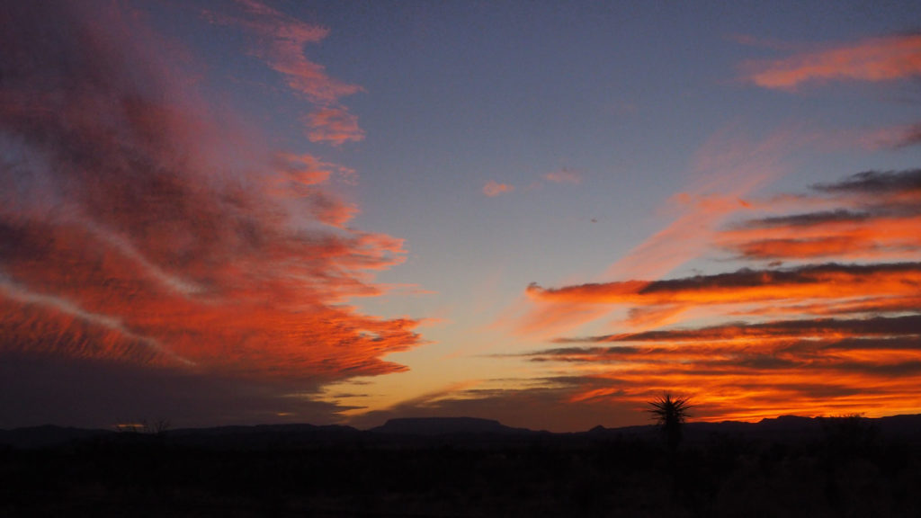 all my old promises —Lucille Clifton