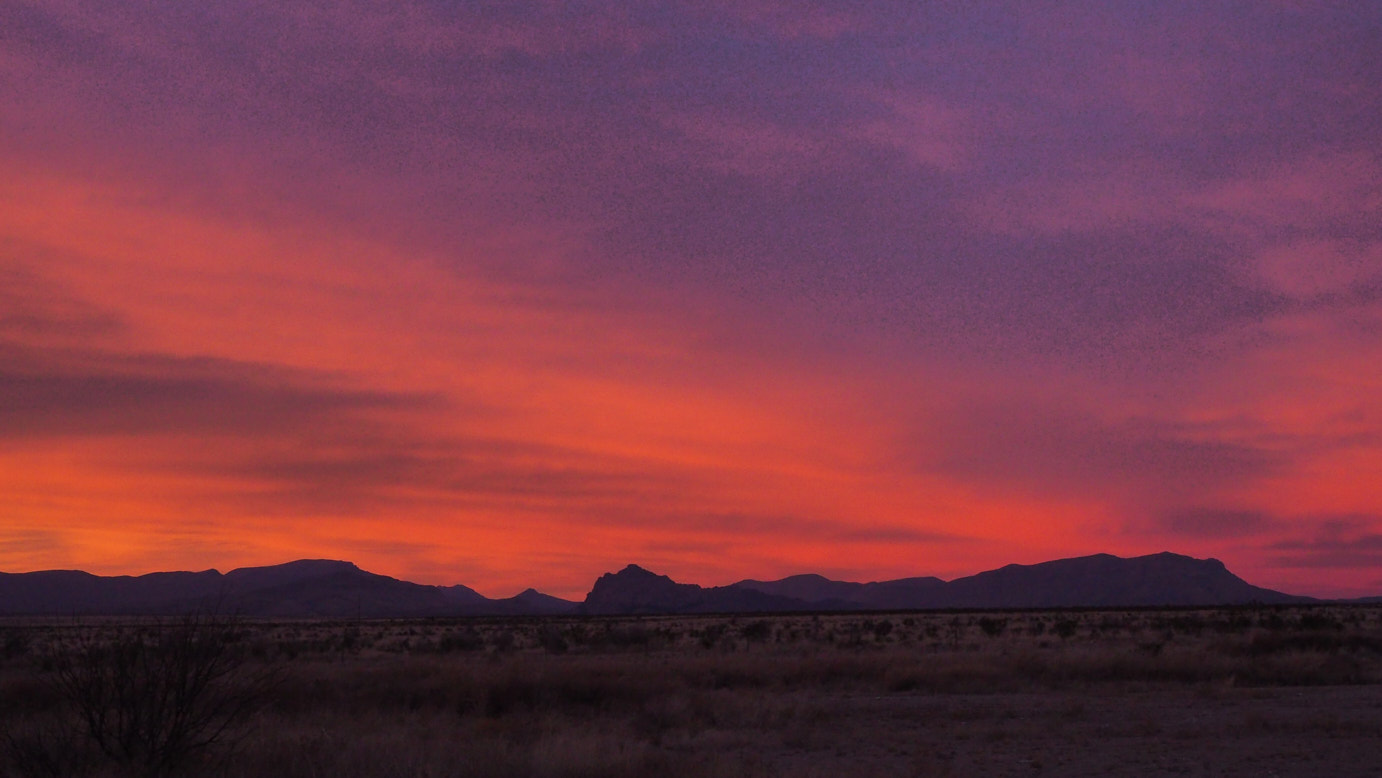 Purple is the color of talking about the past