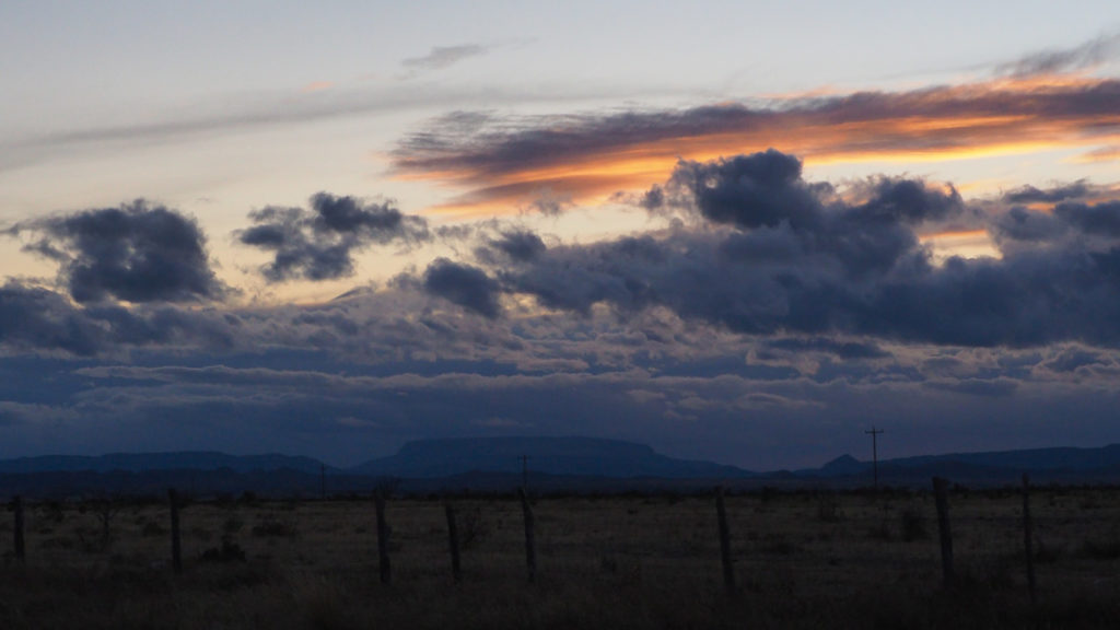 and the delicate ones’ timid curve.