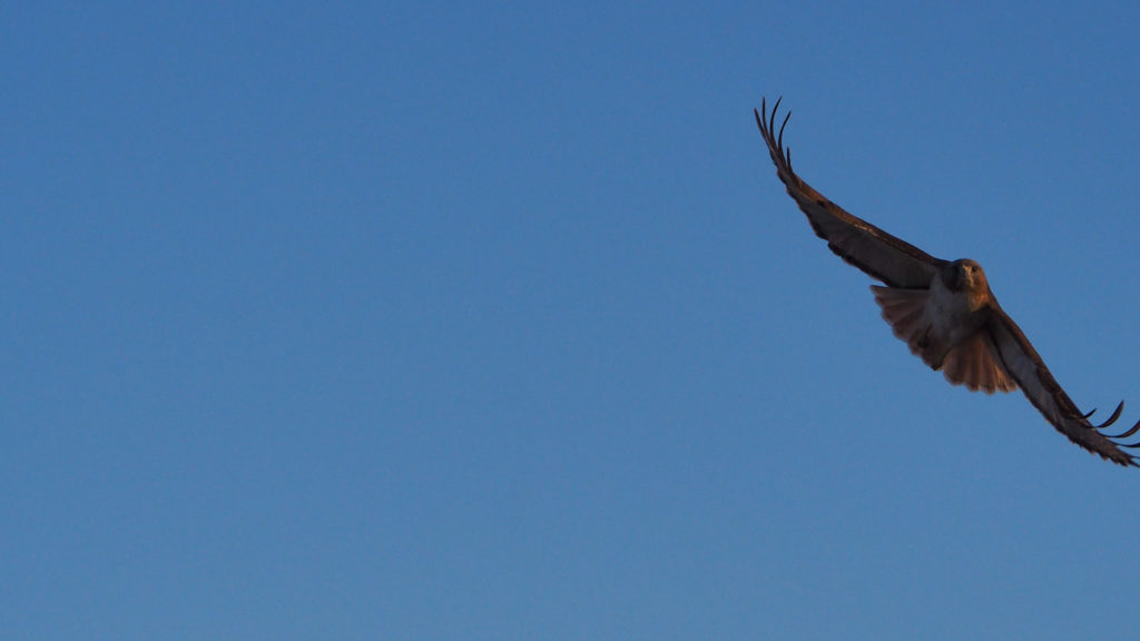 Everything conspires to silence us,