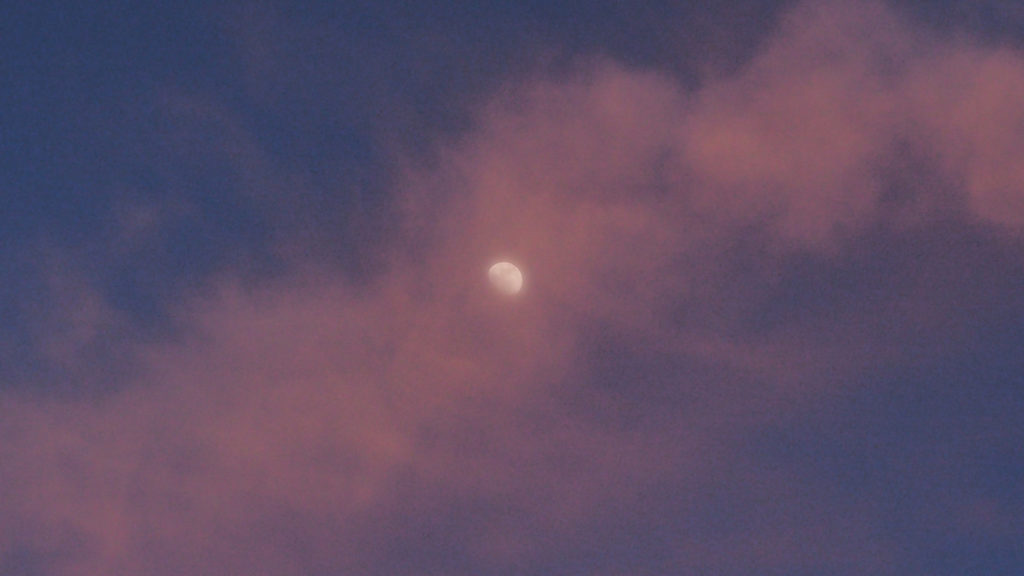 where Christian, Jew, and Manichaean