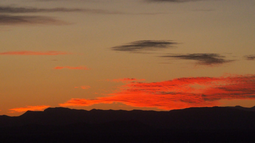 stippled bright with human bones,