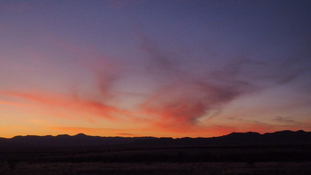 humming will be drumming. —Suheir Hammad