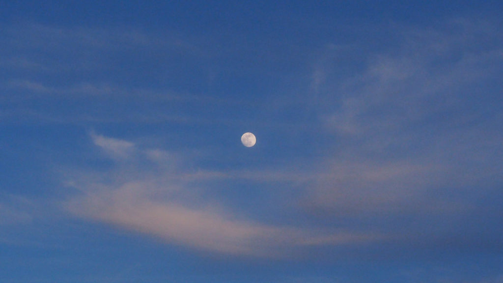 On which the living gather.