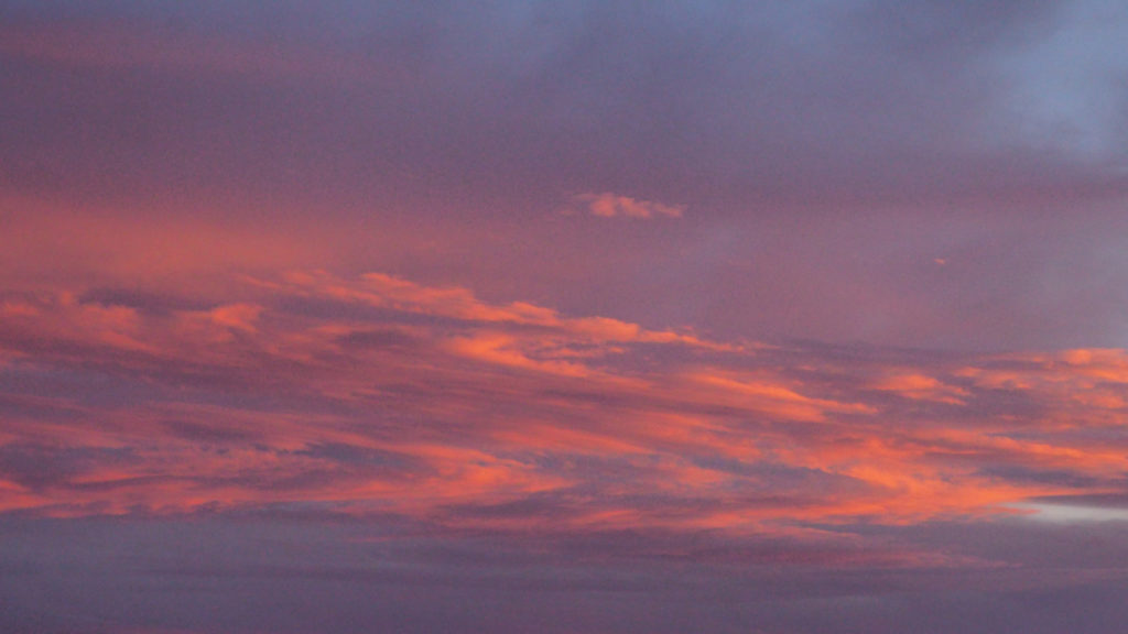 No purpose but what we make.