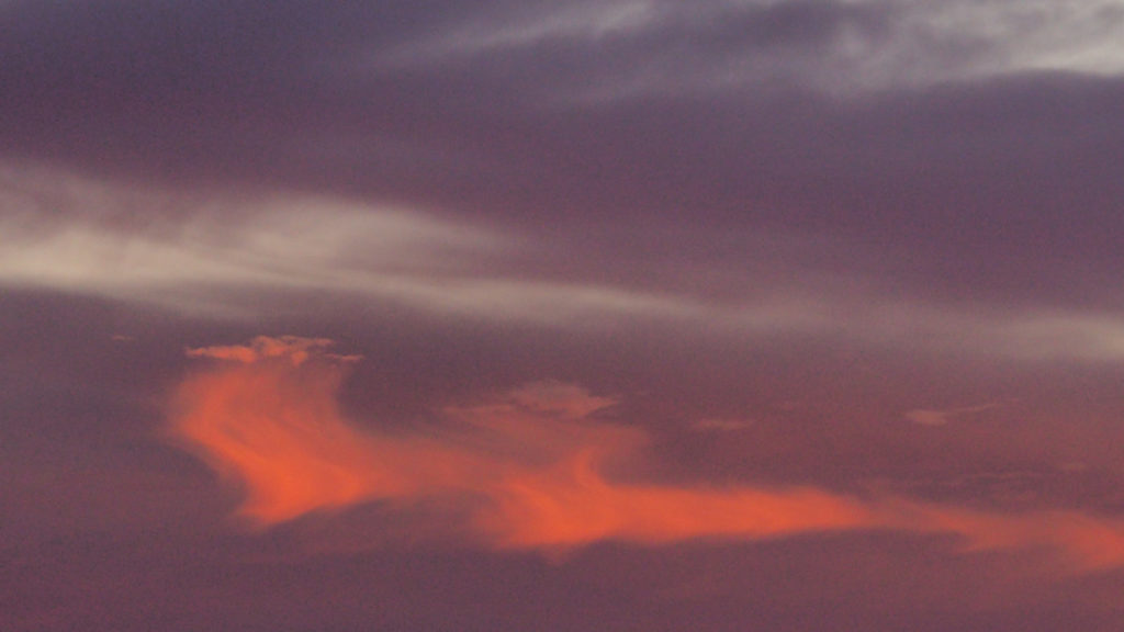 That, and the beloved’s clear instructions: