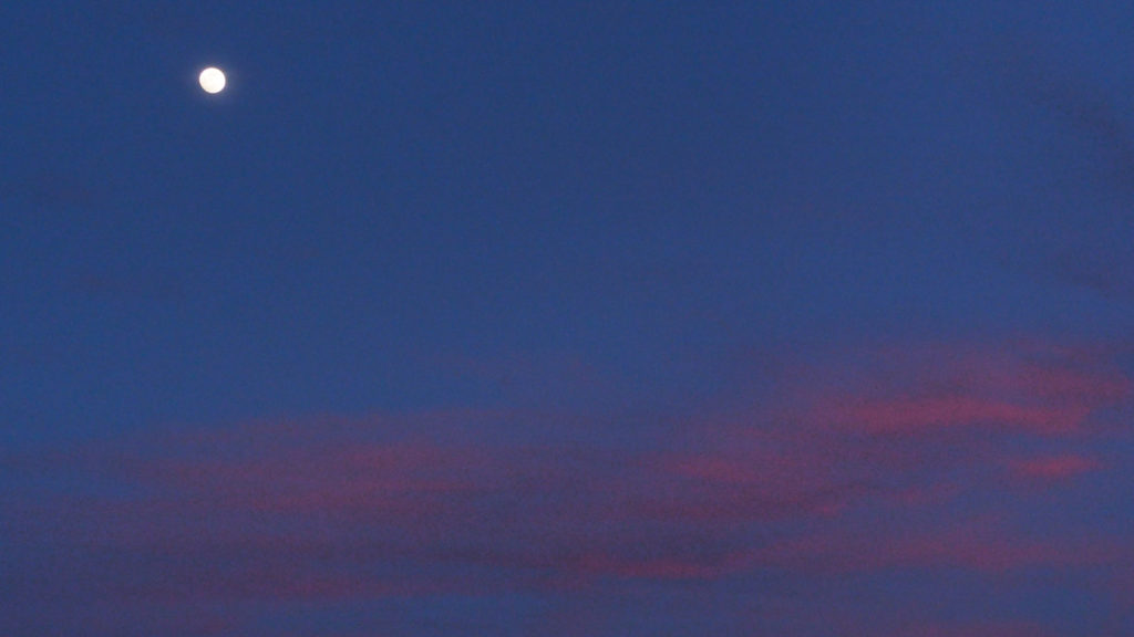 Turn me into song; sing me awake. —Gregory Orr