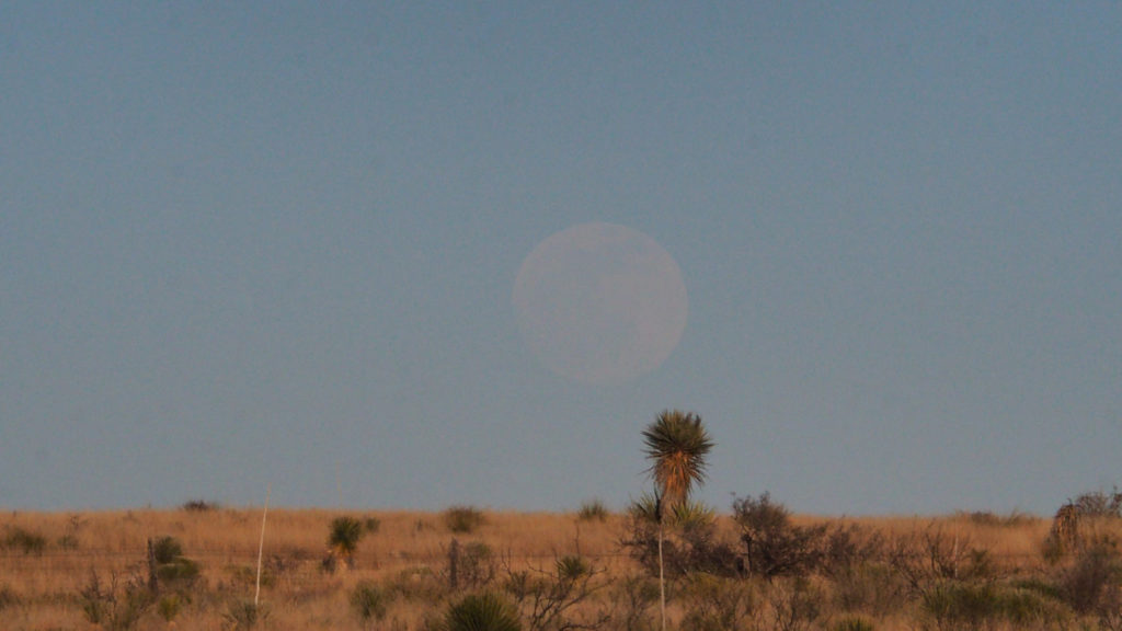 which is being born in me