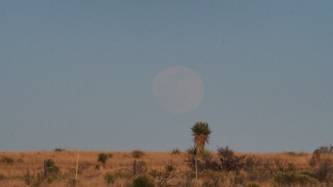 I would like to describe a light