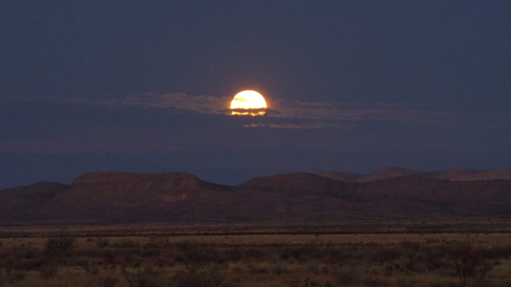 mystery, mildly erotic. Even if one is terrified