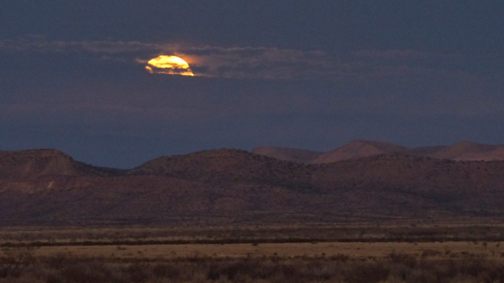 each of us in secrecy, no one can make it stay. —C. D. Wright