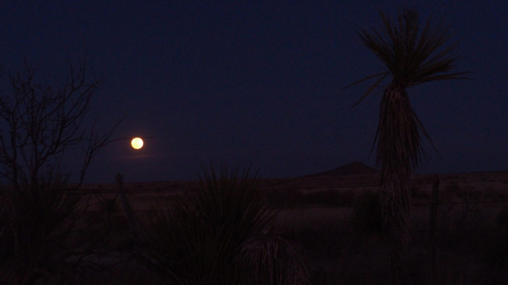 Which is fine with us. —Rumi, translator unknown