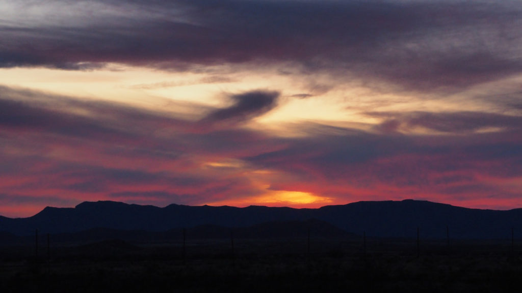 still another… —Mary Oliver