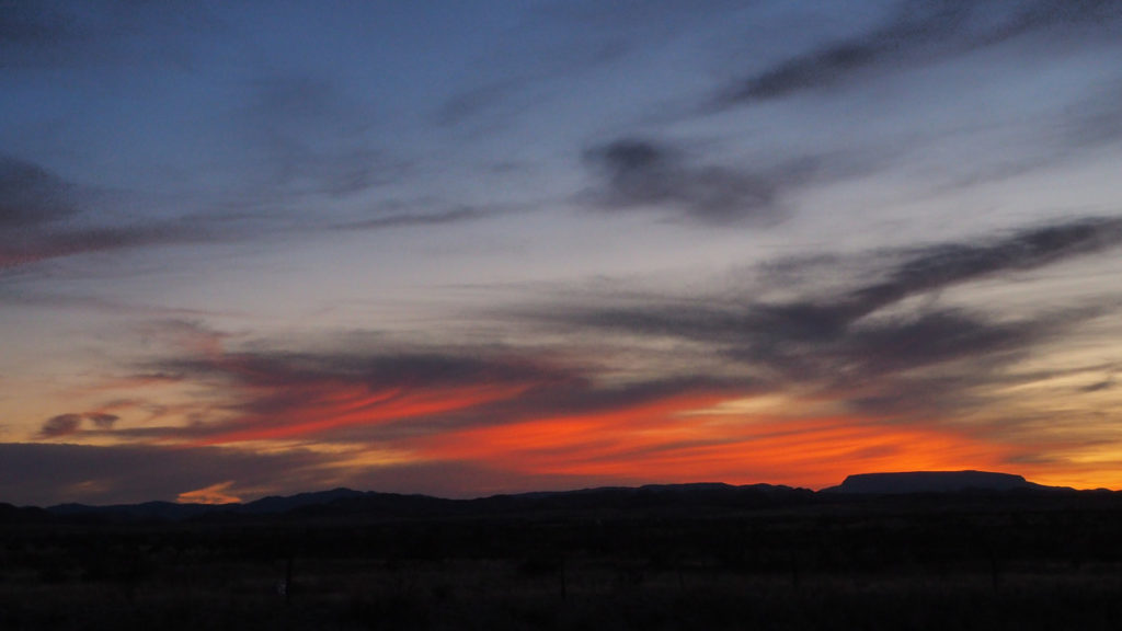 into its bed of ashes and sand. —Dorianne Laux