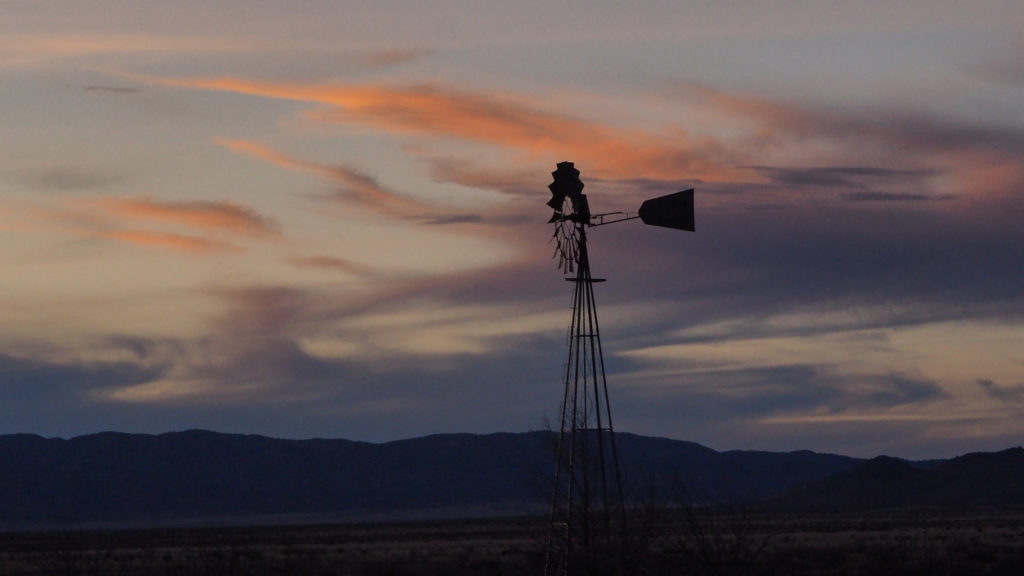 like a squirrel, for example,