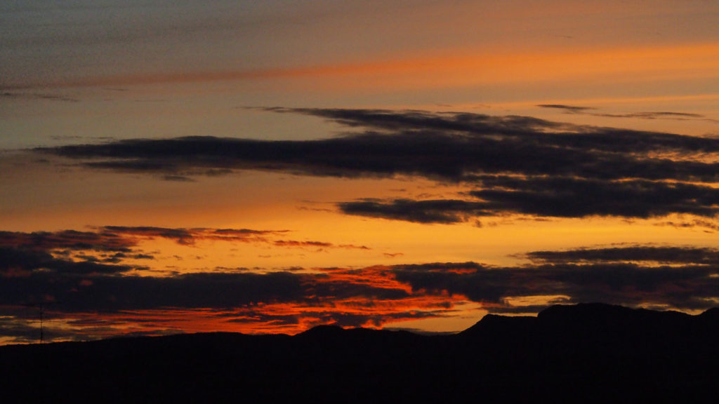 I mean your entire purpose should be living. —Nâzim Hikmet, translated by Deniz Perin