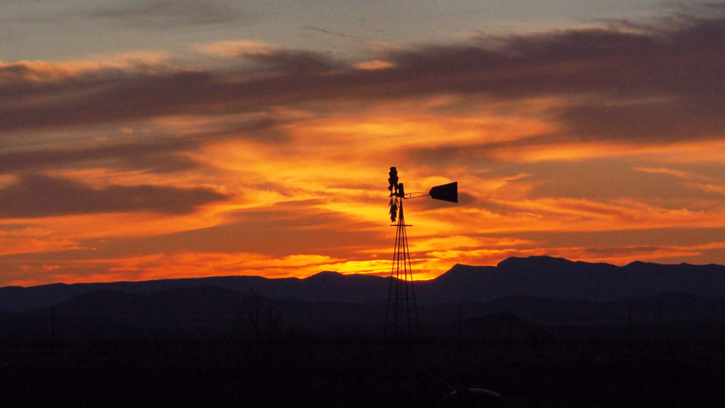 I look onto the back of my hand, for many