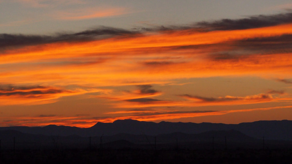 visions I haven’t dared follow may