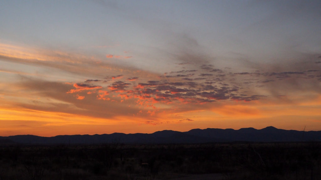 when so many flashes of red fall short of what aches to be uttered?