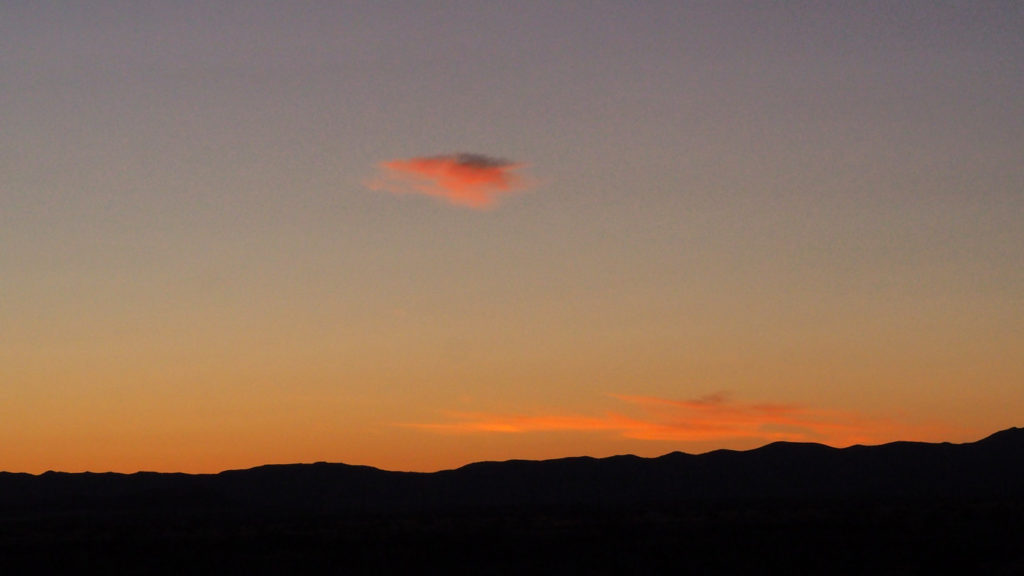 opening beautifully inside my brain. —Yehuda Amichai, translated by Chana Bloch